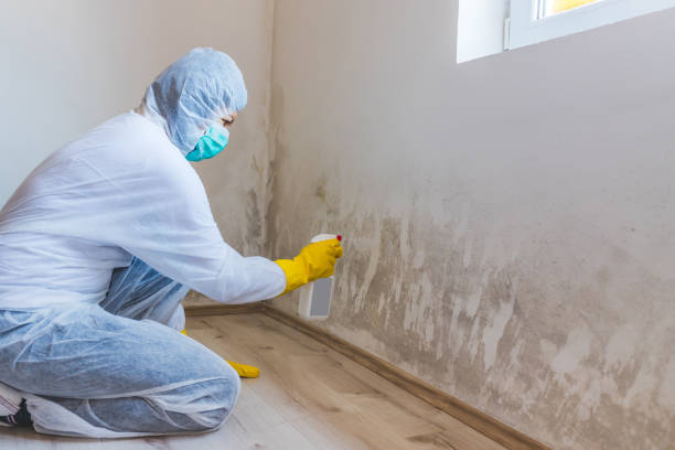 Hvac And Air Duct Mold Remediation inspection of HVAC system in Berwyn